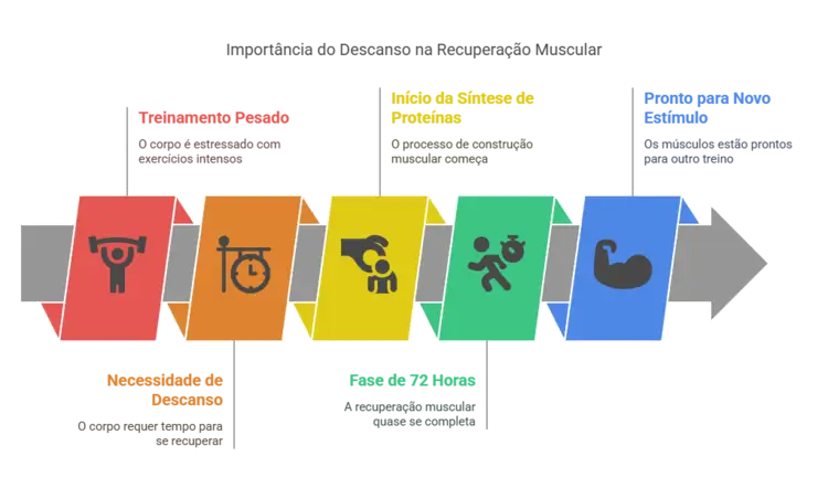 recuperação muscular